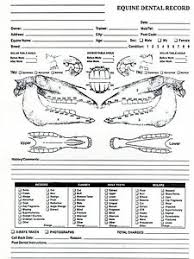 Details About Equine Dental Chart For Equine Dentistry And Veterinary Professional
