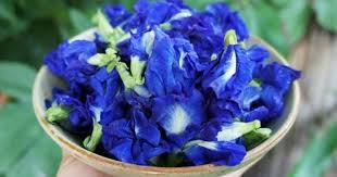 Ein Cooles Blaues Getrank Gefallig Hier Kommt Der Butterfly Pea Tea Blaue Getranke Getranke Gesundheit