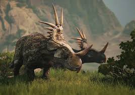 Image result for Steganotaenia hockii