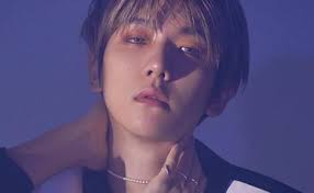 On may 6, baekhyun started serving in the korean military, which was also the singer's 29th birthday. Baekhyun Exo Members Profiles Vote