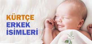Uğurlu olduğuna inanılan beyaz bulut akcan, t. Kurtce Erkek Isimleri Ve Anlamlari