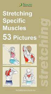 Starting Stretching 53 Full Body Stretches For Beginners The Health Science Journal Full Body Stretch Science Journal Body Stretches