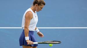 She has been ranked world no. Y20g2klb8a7xwm