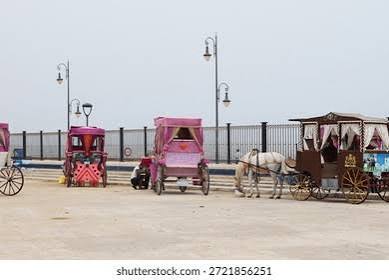 pink Horse Carriage": Over 540 Royalty-Free Licensable Stock Photos | Shutterstock