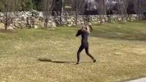 Houston's astros player gerrit cole has the sweetest fan to support him during the world series. Video Gerrit Cole Played Catch With His Wife Amy And She Actually Has A Cannon