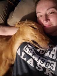 Fundraiser by Lacey Ingels : Help Save Buck: Surgery & Chemo for Our Brave  Boy