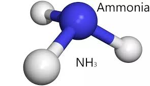 This has been asked and answered extensively before. Why Is Ammonia A Sticky Molecule Does It Have Anything To Do With Not Bonded Free Electron Pairs Of Nitrogen Quora