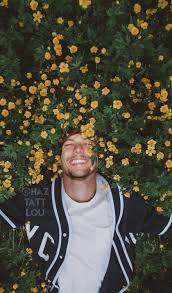 The Summertime And Butterflies All Belong To Your Creation Lyrics Haztattlou In 2020 Louis Tomlinsom Louis Williams Louis Tomilson
