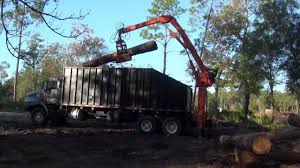 Tree removal & tree service portland. Orlando Tree Service Daytona Beach Tree Removal Seminole County Stump Grinding