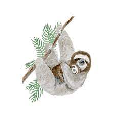A baby sloth helps them this only ever happens if the bird is born in april this is called slothatisomistic. Mom And Baby Sloth Nursery Art Tropical Wall Decor Tiny Toes Design