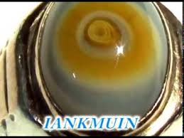 Batu akik sulaiman jenis ini juga dipercaya mampu membuat lawan . Batu Akik Sulaiman Mata Youtube