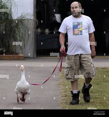 Spencer Miles Jones, B.S. | Sometimes I Wonder Why I'M Blessed The Way That  I Am, But I Was Taught To Never Put A Question Mark Where God Put A Period.  I