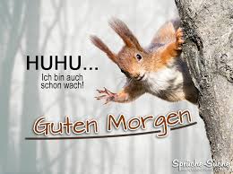 Sieh dir an, was guten morgen bilder (gutenmorgenbilder) auf pinterest, der weltweit größten sammlung von ideen, entdeckt hat. Guten Morgen Spruche Bilder Eichhornchen