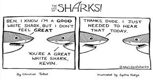 Chiar imi pare rau de voi ca nu aveti cont pe diwana. I Can Has Cheezburger Sharks Funny Animals Online Cheezburger
