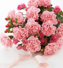 Due to the extreme high order volumes for delivery and the weather situation, in exceptional cases the delivery. How To Pick The Perfect Flowers For Valentine S Day Gma