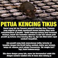 Petua Kencing Tikus Vegetables Food Tips