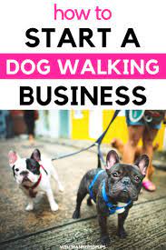 How To Start A Dog Walking Business Dog Walking Business Dog Walking Flyer Dog Business