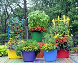 Pretty Kitty Teacup Colorful Tubs And Trellises And More In And Out Container Gardening Planter Trellis Garden Containers