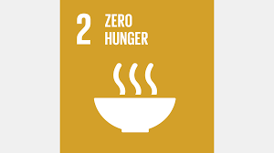 169 видео 24 268 просмотров обновлен 14 сент. Un Sustainable Development Goals