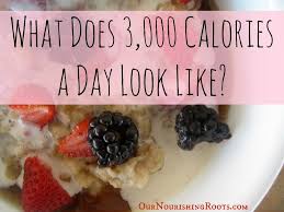 3000 Calories A Day High Calorie Meals 3000 Calorie Meal Plan Food To Gain Muscle