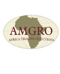 Logo Design Amgro Africa Trading Solutions