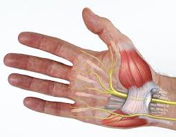 Daca ai aceasta problema din ce in ce mai des, te sfatuim sa mergi la medic pentru un control amanuntit. Furnicaturi Si Amorteli In Maini Si Degete Tratament Dr Vladislav Gyebnar