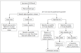 Course Path417 Case 3 Student 5 Ubc Wiki