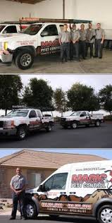 If you have a termite emergency in phoenix, chandler, scottsdale, mesa, glendale, tempe, ahwatukee foothills, gilbert, maricopa, queen creek, queen valley, fountain hills, apache junction, paradise. 10 Pests Ideas Bed Bugs Pests Pest Control