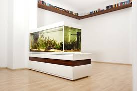 Aquarium Als Raumteiler Benutzen 26 Beispiele