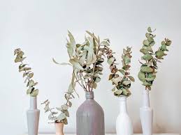 It's in an inexpensive, plastic frame for two reasons: How To Dry Eucalyptus And Use As Decor