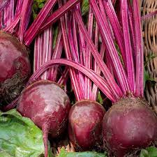 Maybe you would like to learn more about one of these? Beetroot Ubi Bit Beetroot Suppliers In Klang Valley