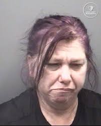 Name: Tamera Danielle E. Turner Age/Gender/Race: 26/Female/Black Arrest  Date: 12/13/2024 Arrest Location: US 70, Cleveland, NC Charges: 1.  Financial Transaction Card