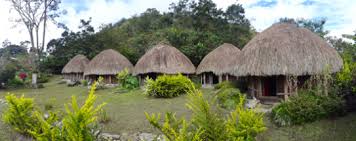 Maybe you would like to learn more about one of these? Rumah Adat Honai Asal Daerah Wamena Papua