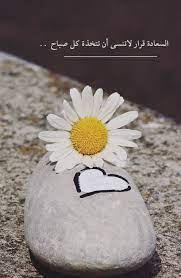 السعادة قرار arabic quotes book qoutes arabic love quotes