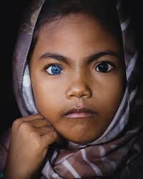 Padar Island #pesonaindonesia #padarisland #photooftheday  #humaninterestphotography #photography #indonesia