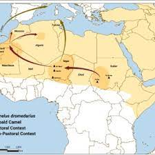 Estimates are based on traffic patterns across millions of web users throughout the world, and use data normalization to correct for. Pdf Piebald Camels