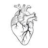 Free application greys anatomy games for children. 1