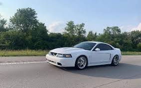 Image result for Oxford White 2003 Escape