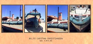 Lifeboat News from Chile