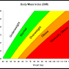 It is useful to consider bmi alongside waist circumference, as waist measurement helps to but it is only an estimate and it doesn't take into account age, ethnicity, gender and body composition. 1