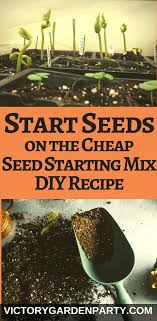 With that, the seedlings eventually fall over and die. Start Seeds On The Cheap Easy Diy Seed Starting Mix Recipe Victory Garden Party Seed Starting Mix Seed Starting Soil Diy Seed Starting