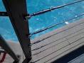 Catalogo Funi d acciaio inox - Cavi In Acciaio Inox Funi Metalliche