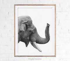 Elephant Home Decor Cute Safari Animals Black And White Photo Wall Art Fine Art Phot Elephant Home Decor Animal Photography Print Elephant Wall Art Nursery