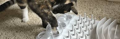 And, you can also use these commercial food puzzles (and slow feeders!) for diy ideas in case you don't want to purchase them! Diy Cat Slow Feeder V1 Lenze Com Tr