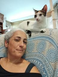 I take care of a feral colony. This is Ray. This is video of the first time  he ever really let me pet him. ❤