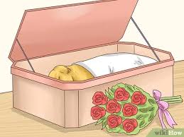 Maybe you would like to learn more about one of these? 3 Ways To Bury A Pet Wikihow