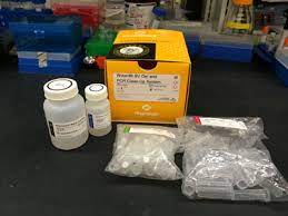 Purification Of Pcr Products For Cloning Biocompare Com Kit Reagent Review