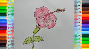 Socialize and meet new friends from all over the country! How To Draw A Hibiscus Flower Step By Step Drawing Tutorials