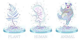 Maybe you would like to learn more about one of these? Evolution Of Cell Types And Mechanisms Controlling Cell Identity Adameykolab