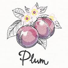 For fruits name in hindi and english check here fruits names. Machine Embroidery Designs At Embroidery Library Embroidery Library